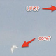 Image for article titled Utterly Compelling Evidence That A Cow Was Abducted By A UFO